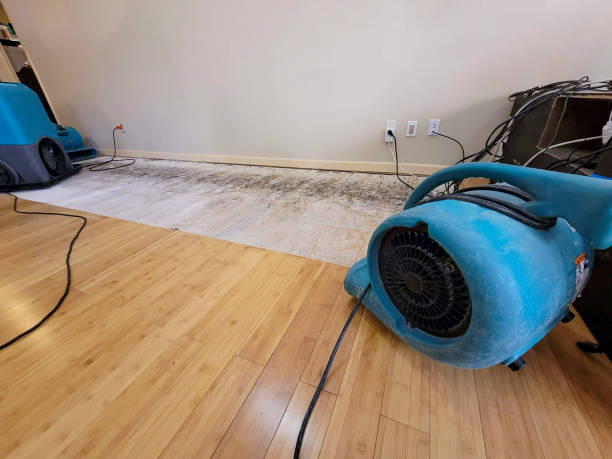 Professional Basement Flood Cleanup technician working in Martinsburg, WV